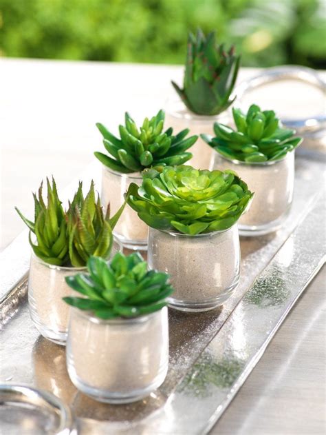 Awesome 49 Cheap Succulent Plants Decor Ideas You Will Love More At