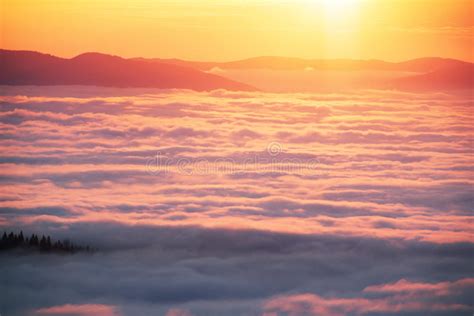 Misty Sea Carpathians Stock Photo Image Of Mountains 78695284