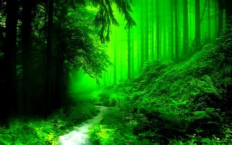 Beautiful Green River Forest Hd Wallpaper Important Beautiful Green