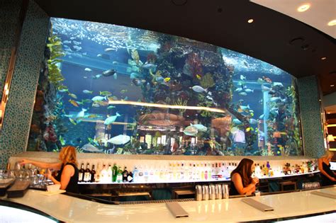 Woman in bright retro clothing with golden fish in aquarium resting on sofa at colorful apartment, doll house concept. Take a Tour of the Shark Tank at Golden Nugget Las Vegas