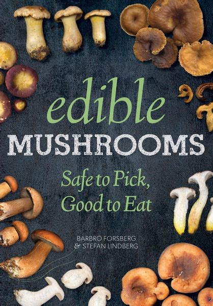 Edible Mushrooms Guide How To Identify Edible Mushrooms