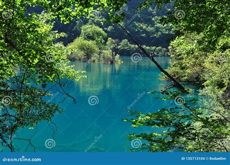 Blue And Green Lake Stock Photo Image Of Lake Tree 135713104