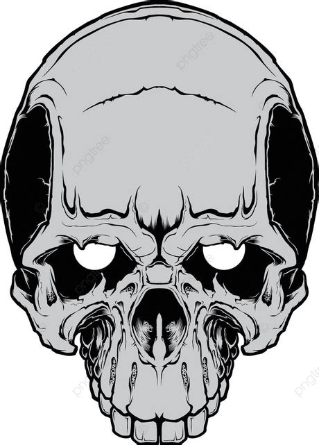 Evil Skull Vector Hd Png Images Human Evil Skull Vector Illustration