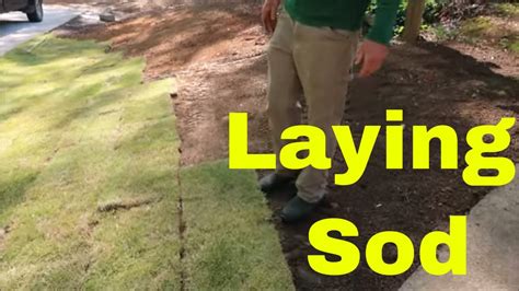 How To Lay Sod Installing Zorro Zoysia On A Slope Youtube