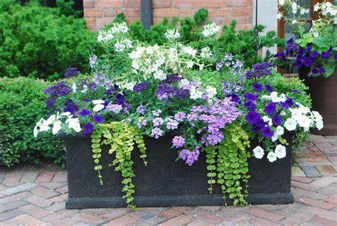 Stunning Summer Planter Ideas For Front Home Container Gardening