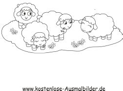 Ausmalbilder Schafe Auf Der Wiese Tiere Zum Ausmalen Malvorlagen Schafe