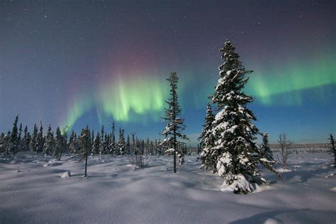 Northern Lights Lapland Tours Sweden Guided Tours True Nature Sweden