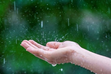 Free Photo Close Up Of Wet Female Hands In Rain