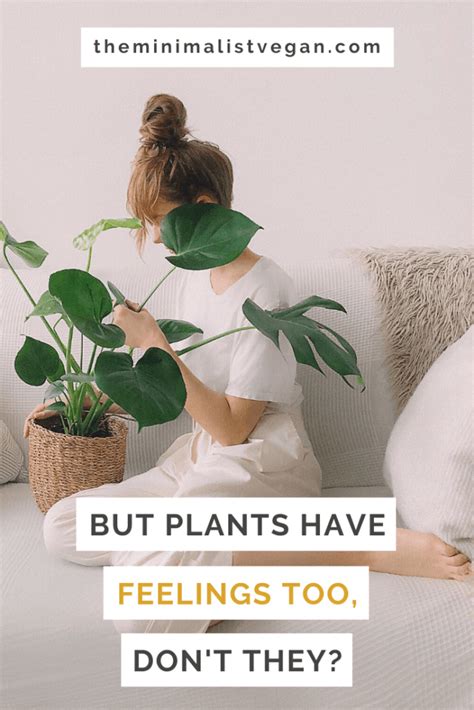 But Plants Have Feelings Too Dont They The Minimalist Vegan