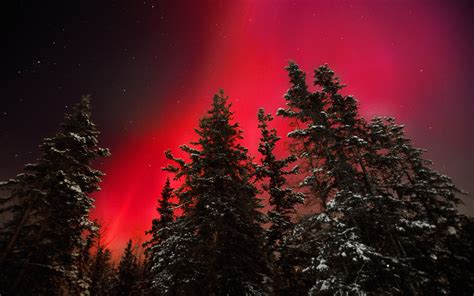 Fiery Sky Red Aurora Special Night Rare Occurrence In Yukon Canadian