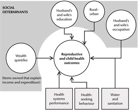 Conceptual Framework Of Social Determinants Of Health Download