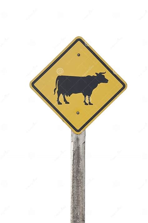 Cow Traffic Sign Stock Photo Image Of Agriculture Farm 17838174