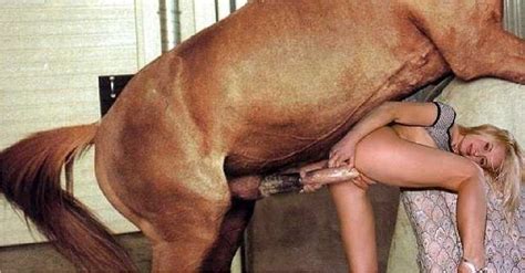 Donkey Fuck A Women Xxx Nude Images Comments 1