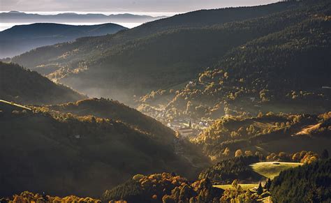 Hd Wallpaper Trees Mountains Dawn France Morning Vosges Mountains