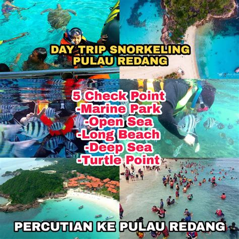 Percutian Ke Pulau Redang Day Trip Snorkeling Pakej Sehari Menyelam Di Pulau Redang