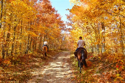 Horseback Trail Riding In Ct Top 5 Amazing Trails The Connecticut