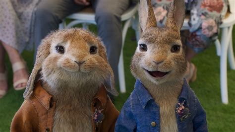 Peter Rabbit The Runaway Review A Sure Footed Superior Sequel Variety