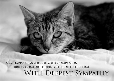 Pet Sympathy Card Kitty Angel Cat Loss Sympathy Cat Memorial Card
