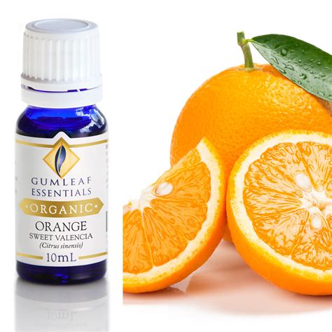 Organic Orange Sweet Valencia Essential Oil Gumleaf Essentials