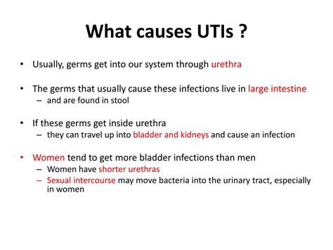 Ppt Urinary Tract Infection Uti Powerpoint Presentation Free Download Id2101291