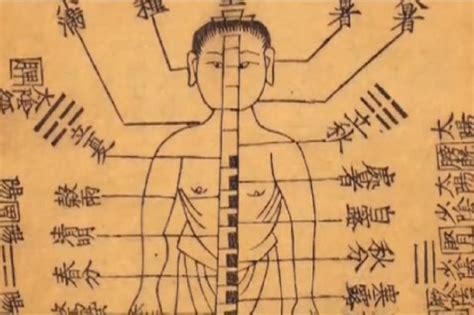 La Médecine Traditionnelle Chinoise Soins Equilibre