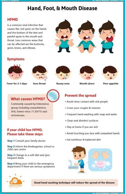Hand Foot And Mouth Disease Poster Hfmd Symptoms And Prevention
