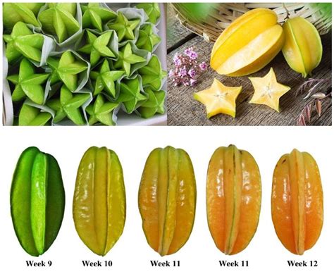 Starfruit Health Benefits Side Effects Nutrition Facts Fun Facts