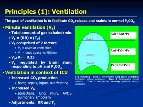 Mv Mechanical Ventilator Settingsmake Easy