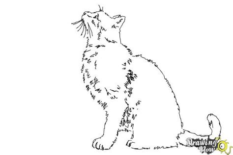 Side view of cat images stock photos vectors shutterstock. How to Draw a Cat Profile - DrawingNow