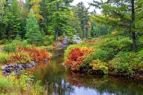 O Canada Autumn On The Canadian Shield 3 Photograph By Steve