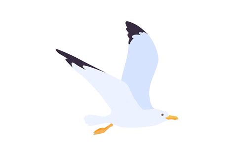 Cartoon Beach Seagull Flying In Sky Vect Graphic By Pchvector