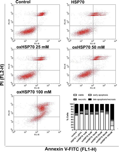 Facs Annexin V Binding Assay Graphical Representation Of The Annexin V