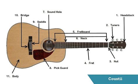Hundreds of free electric guitar & bass wiring diagrams & guitar wiring resources. Guitar's Anatomy: Parts of an Acoustic Guitar - Coustii