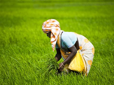 Read latest news & updates on union budget of india. Budget 2021-22: Agriculture A Key Focus Area | Forbes India