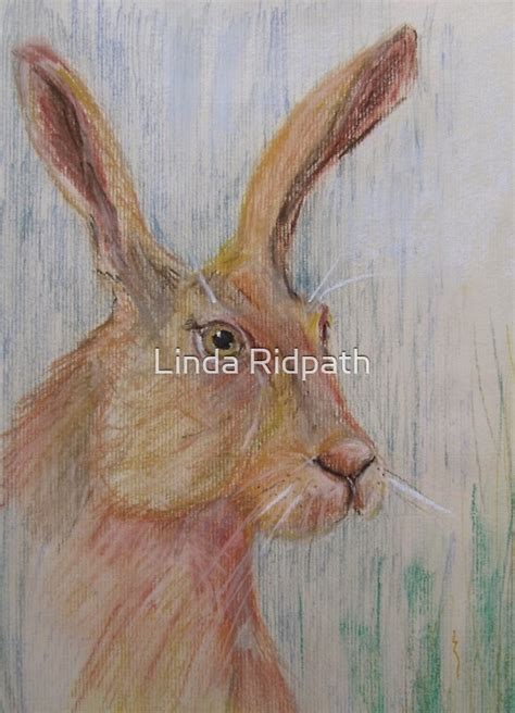 Mad As A March Hare By Linda Ridpath Redbubble