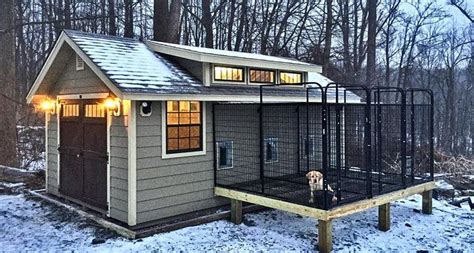 25 Best Outdoor Dog Kennel Ideas Page 5 Of 7 The Paws Indoor Dog