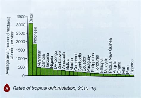 Amazon Rainforest Deforestation Chart