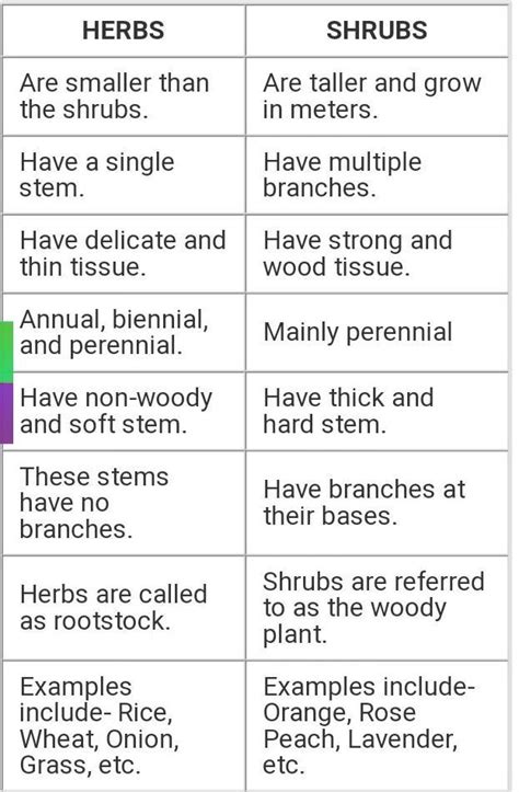 Differentiate Between Herbs Shrubs And Treeswhat Is The Name Of That