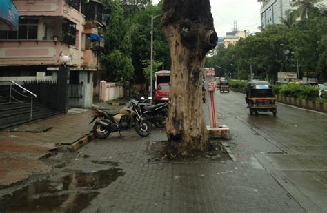 The Equal Streets Movement In Mumbai The Nature Of Cities