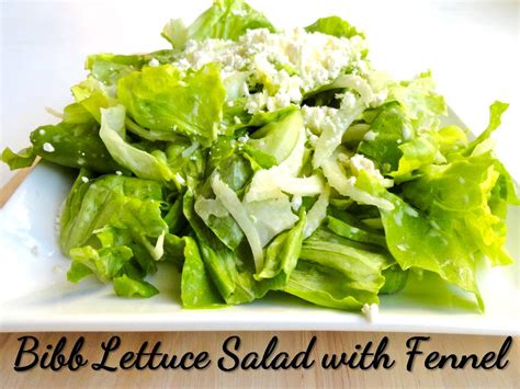 Easy Salad Recipes Bibb Lettuce And Fennel Urban Nutrition Inc