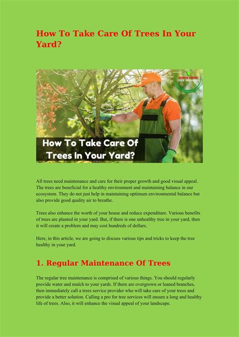 Ppt How To Take Care Of Trees In Your Yard Powerpoint Presentation