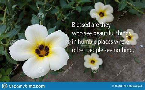Inspirational Quote Blessed Are They Who See Beautiful