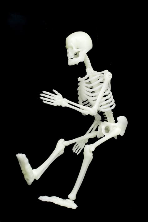 Image Of Skeleton Sitting Creepyhalloweenimages