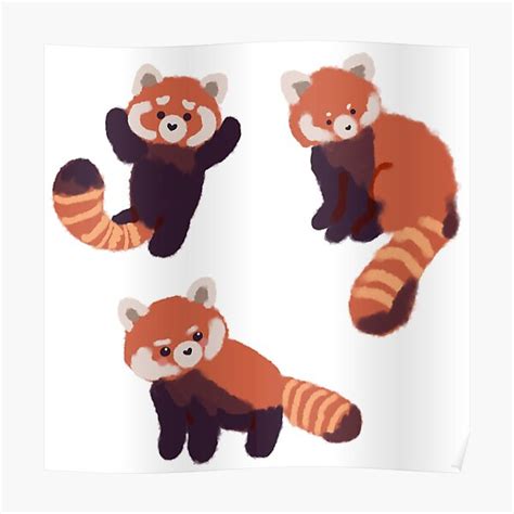 Three Cute Red Pandas Poster For Sale By Mayarart Redbubble