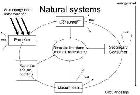 The Flowchart Of Natural System Processes Download Scientific Diagram
