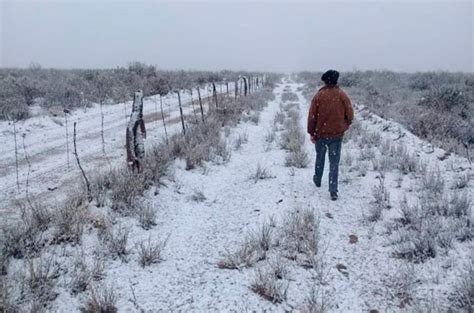 Teniendo ciudades y zonas con climas diferentes. Brasil advierte por un "evento histórico de frío y nieve ...