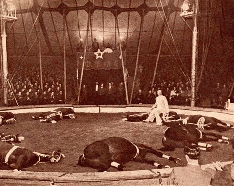 194748 Cirque Royal Kniepedia