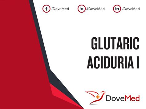 Glutaric acidemia type ii (ga2) is a disorder that interferes with the body's ability to break down proteins and fats to produce energy. Glutaric Aciduria I