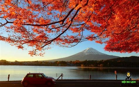 Những địa điểm Ngắm Lá Phong đỏ Hấp Dẫn ở Nhật Bản Phần 1 Nơi Chia Sẻ Kinh Nghiệm Du Lịch