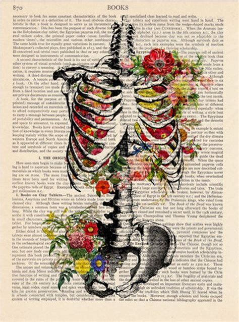 Anatomy Print Medical Poster Anatomical Illustration Etsy Vintage